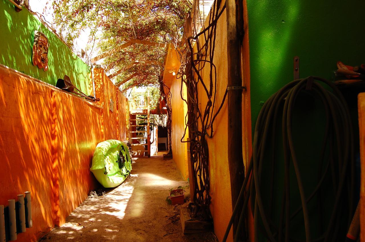 Leo'S Baja Oasis Hotel La Paz Luaran gambar