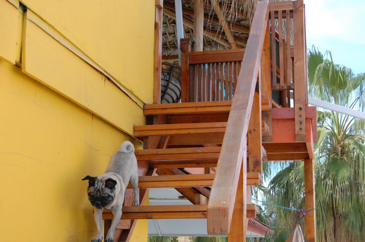 Leo'S Baja Oasis Hotel La Paz Luaran gambar