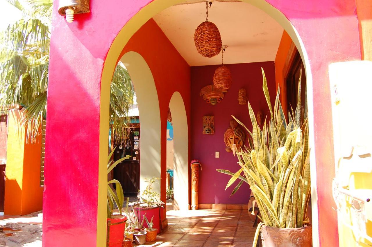 Leo'S Baja Oasis Hotel La Paz Luaran gambar