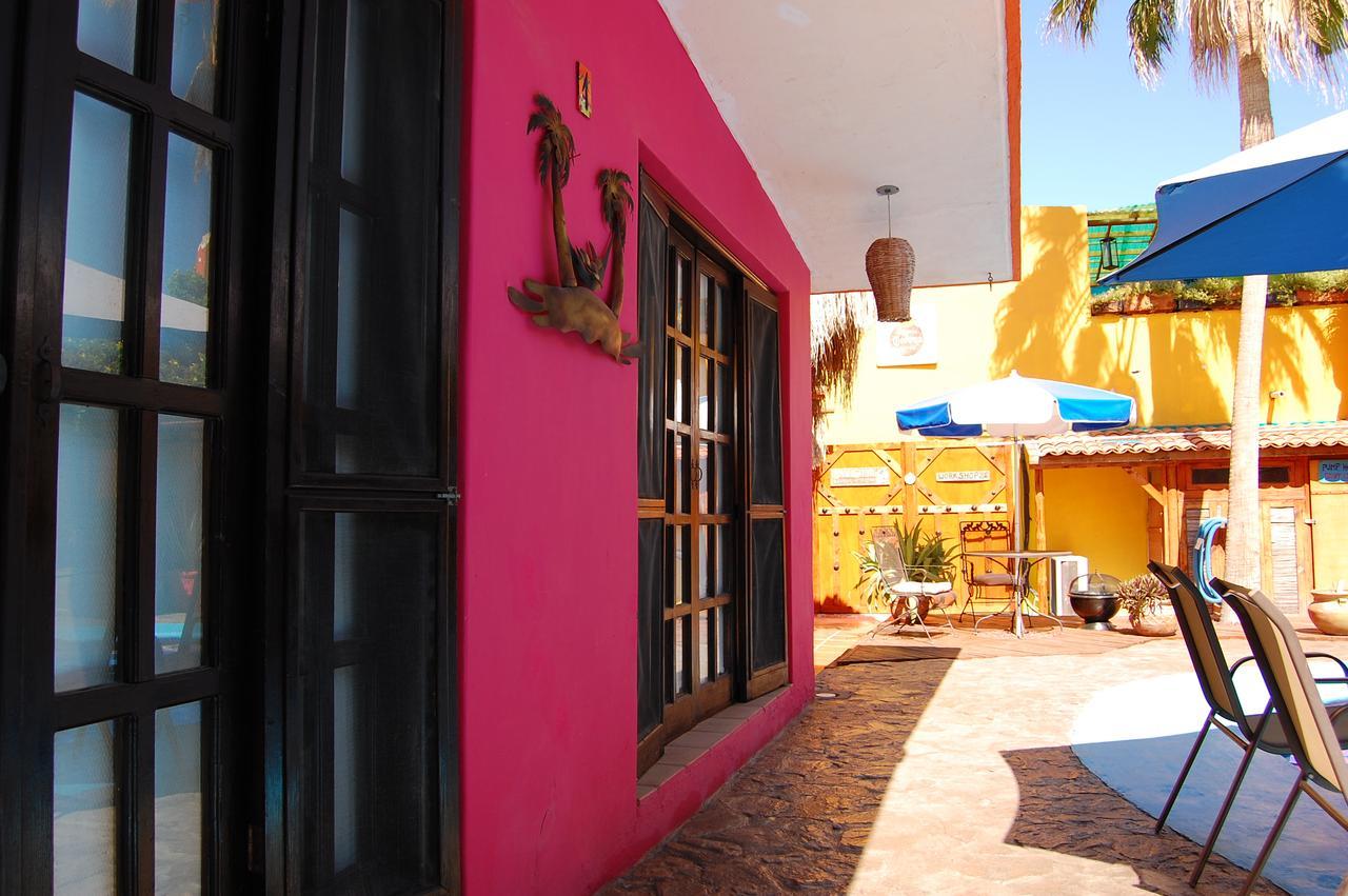 Leo'S Baja Oasis Hotel La Paz Luaran gambar